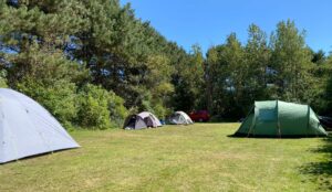 Vilshärads camping Halmstad naturreservat